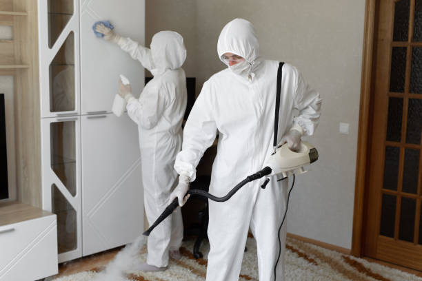 Best Mold Testing and Inspection Services in Mount Gay Shamrock, WV